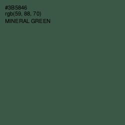 #3B5846 - Mineral Green Color Image