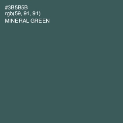 #3B5B5B - Mineral Green Color Image