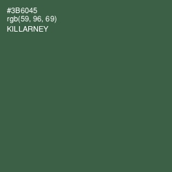 #3B6045 - Killarney Color Image