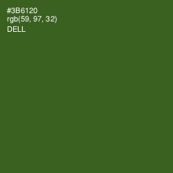 #3B6120 - Dell Color Image