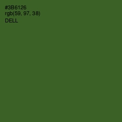 #3B6126 - Dell Color Image