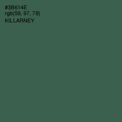 #3B614E - Killarney Color Image