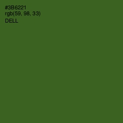 #3B6221 - Dell Color Image