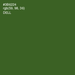 #3B6224 - Dell Color Image