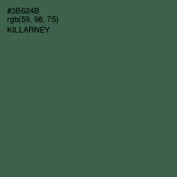 #3B624B - Killarney Color Image