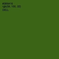 #3B6416 - Dell Color Image