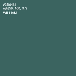 #3B6461 - William Color Image
