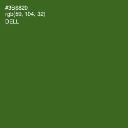 #3B6820 - Dell Color Image