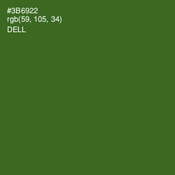 #3B6922 - Dell Color Image