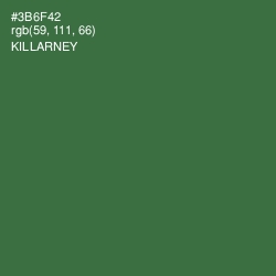 #3B6F42 - Killarney Color Image