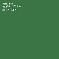 #3B7545 - Killarney Color Image