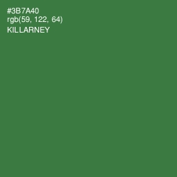 #3B7A40 - Killarney Color Image