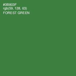 #3B803F - Forest Green Color Image