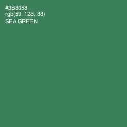 #3B8058 - Sea Green Color Image