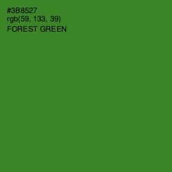 #3B8527 - Forest Green Color Image