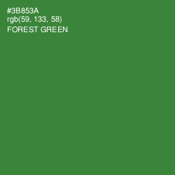 #3B853A - Forest Green Color Image