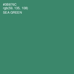 #3B876C - Sea Green Color Image