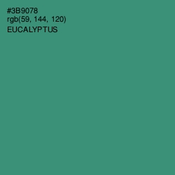 #3B9078 - Eucalyptus Color Image