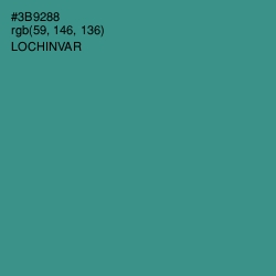 #3B9288 - Lochinvar Color Image
