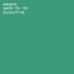 #3B9B7B - Eucalyptus Color Image
