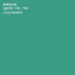 #3B9C86 - Lochinvar Color Image