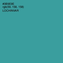 #3B9E9E - Lochinvar Color Image