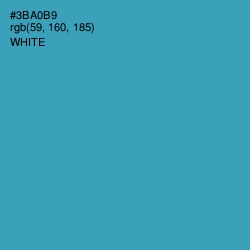 #3BA0B9 - Pelorous Color Image