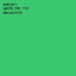 #3BC871 - Malachite Color Image