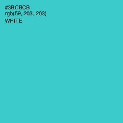 #3BCBCB - Turquoise Color Image