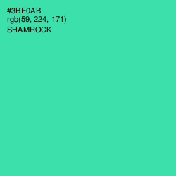 #3BE0AB - Shamrock Color Image