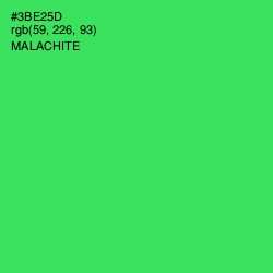 #3BE25D - Malachite Color Image