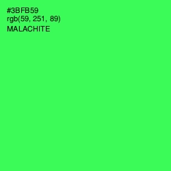 #3BFB59 - Malachite Color Image