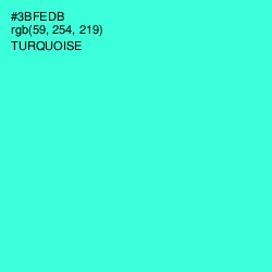 #3BFEDB - Turquoise Color Image