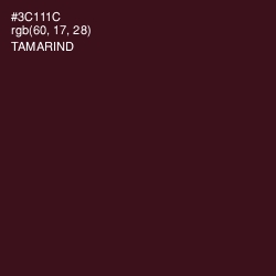 #3C111C - Tamarind Color Image