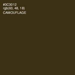 #3C3012 - Camouflage Color Image