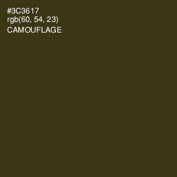 #3C3617 - Camouflage Color Image