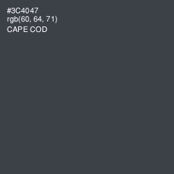 #3C4047 - Cape Cod Color Image