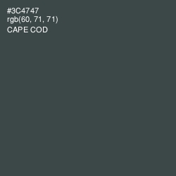 #3C4747 - Cape Cod Color Image