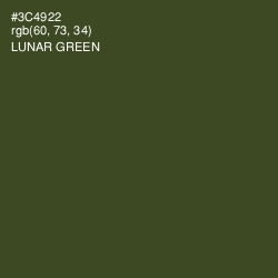 #3C4922 - Lunar Green Color Image