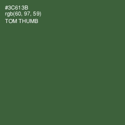#3C613B - Tom Thumb Color Image