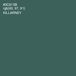 #3C615B - Killarney Color Image