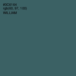 #3C6164 - William Color Image