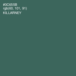 #3C655B - Killarney Color Image