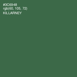 #3C6948 - Killarney Color Image