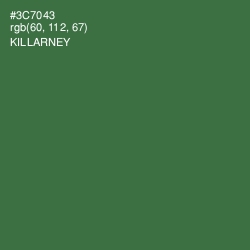 #3C7043 - Killarney Color Image