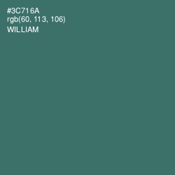 #3C716A - William Color Image