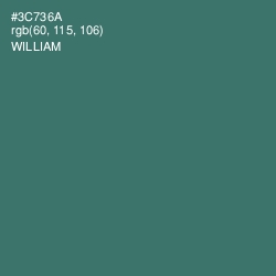 #3C736A - William Color Image