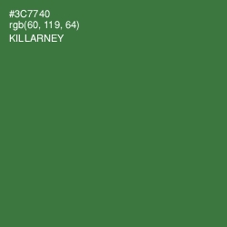 #3C7740 - Killarney Color Image