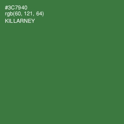 #3C7940 - Killarney Color Image