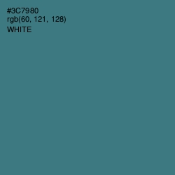 #3C7980 - Paradiso Color Image